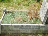 image of grave number 136791